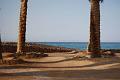 egypt (5)